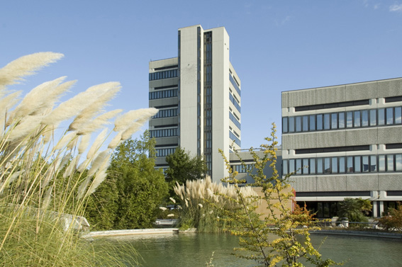 Dipartimento Ingegneria dell'Informazione, Università Politecnica delle Marche